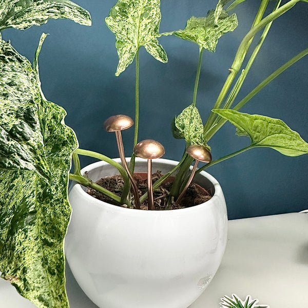 🍄 Lot de 5 Piquets de Champignon