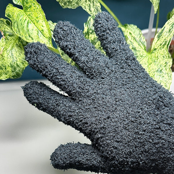 🌿 Gant de nettoyage en microfibre – Entretien facile et soin des plantes