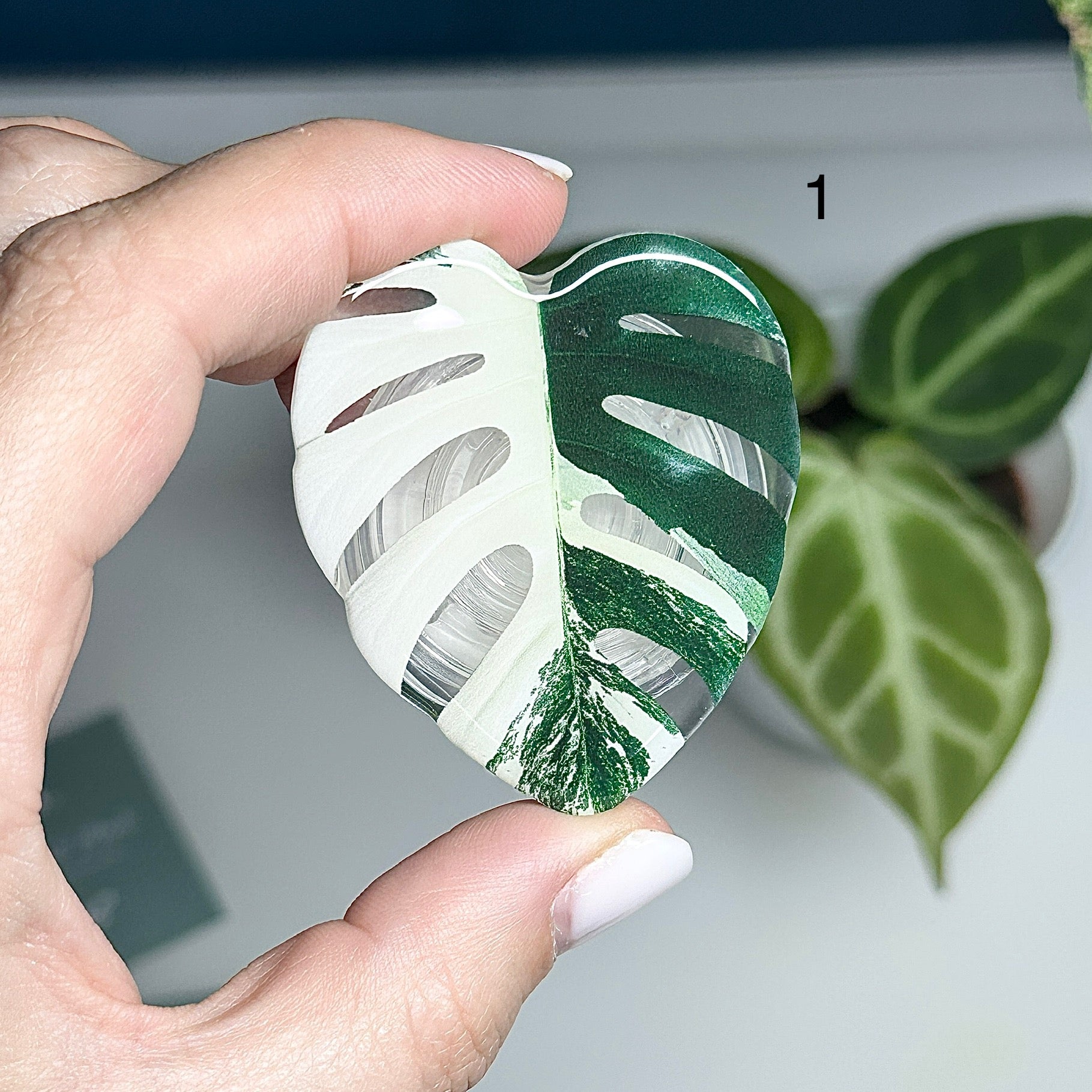 🍃 Support de téléphone feuille verte – Prise confortable et design nature