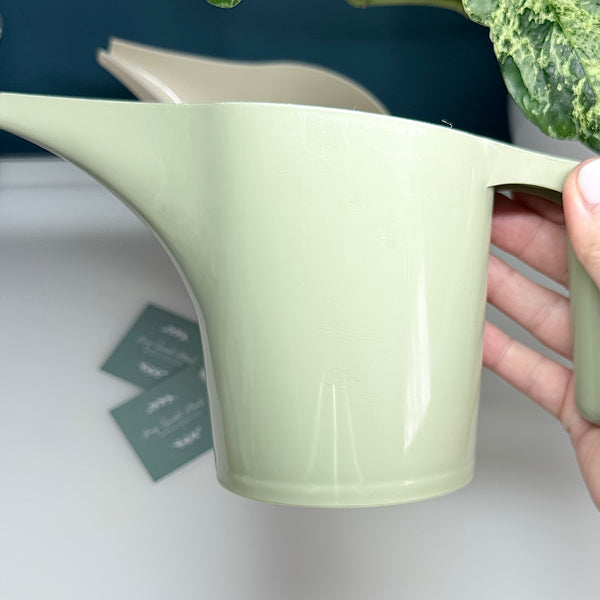 💧 Arrosoir à Bec Long – 20 x 12 cm 🌱