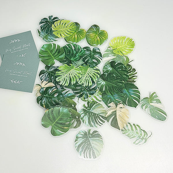 🍃 Lot de 40 Autocollants Monstera – Fond Transparent