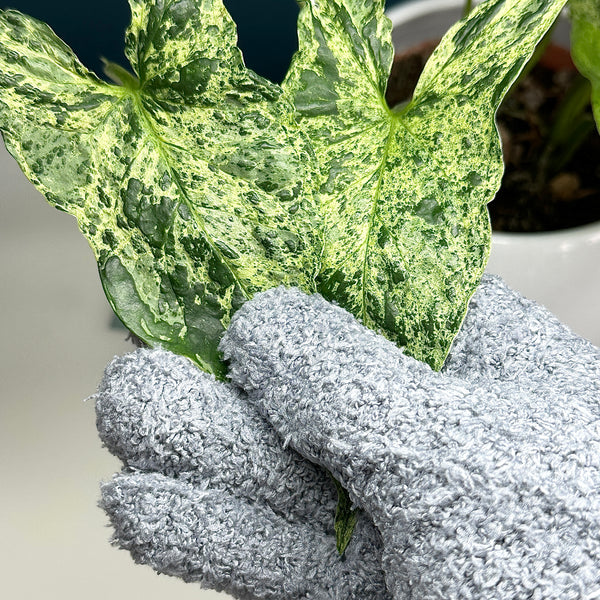 🌿 Gant de nettoyage en microfibre – Entretien facile et soin des plantes