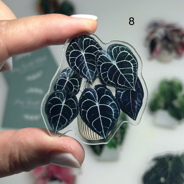 🌿 Aimants de réfrigérateur magnétiques – Design plantes tropicales