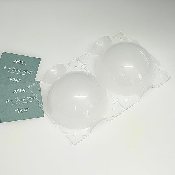 🌱 2 Boules de bouture de Plantes – Propagation Facile et Rapide 🌿