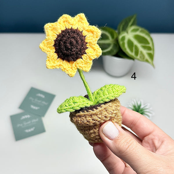 Plante au Crochet – Plusieurs modèles