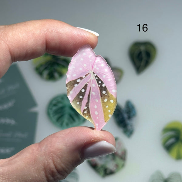 🌿 Aimants de réfrigérateur magnétiques – Design plantes tropicales