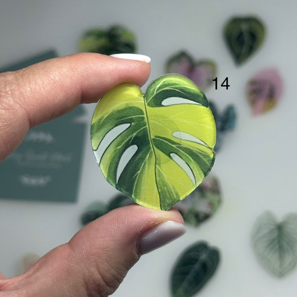 🌿 Aimants de réfrigérateur magnétiques – Design plantes tropicales