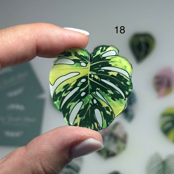 🌿 Aimants de réfrigérateur magnétiques – Design plantes tropicales