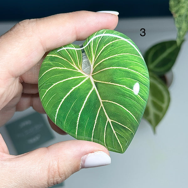 🍃 Support de téléphone feuille verte – Prise confortable et design nature