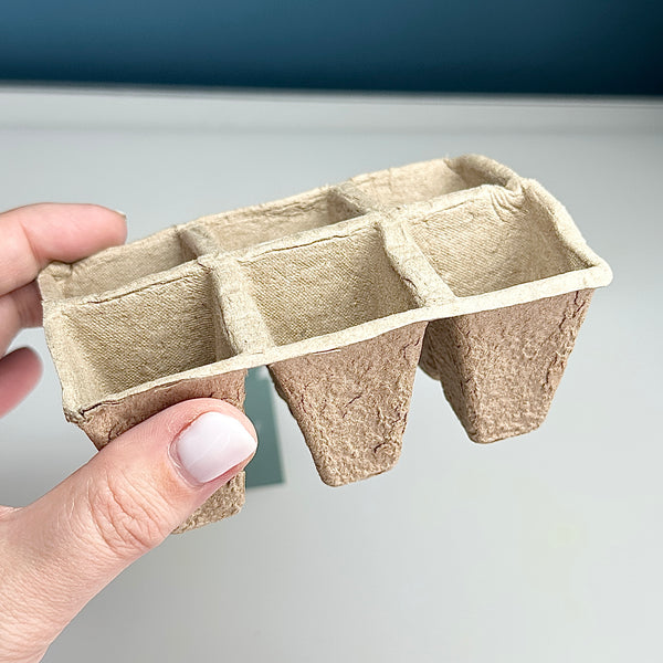 Pot de semi en tourbe biodégradable