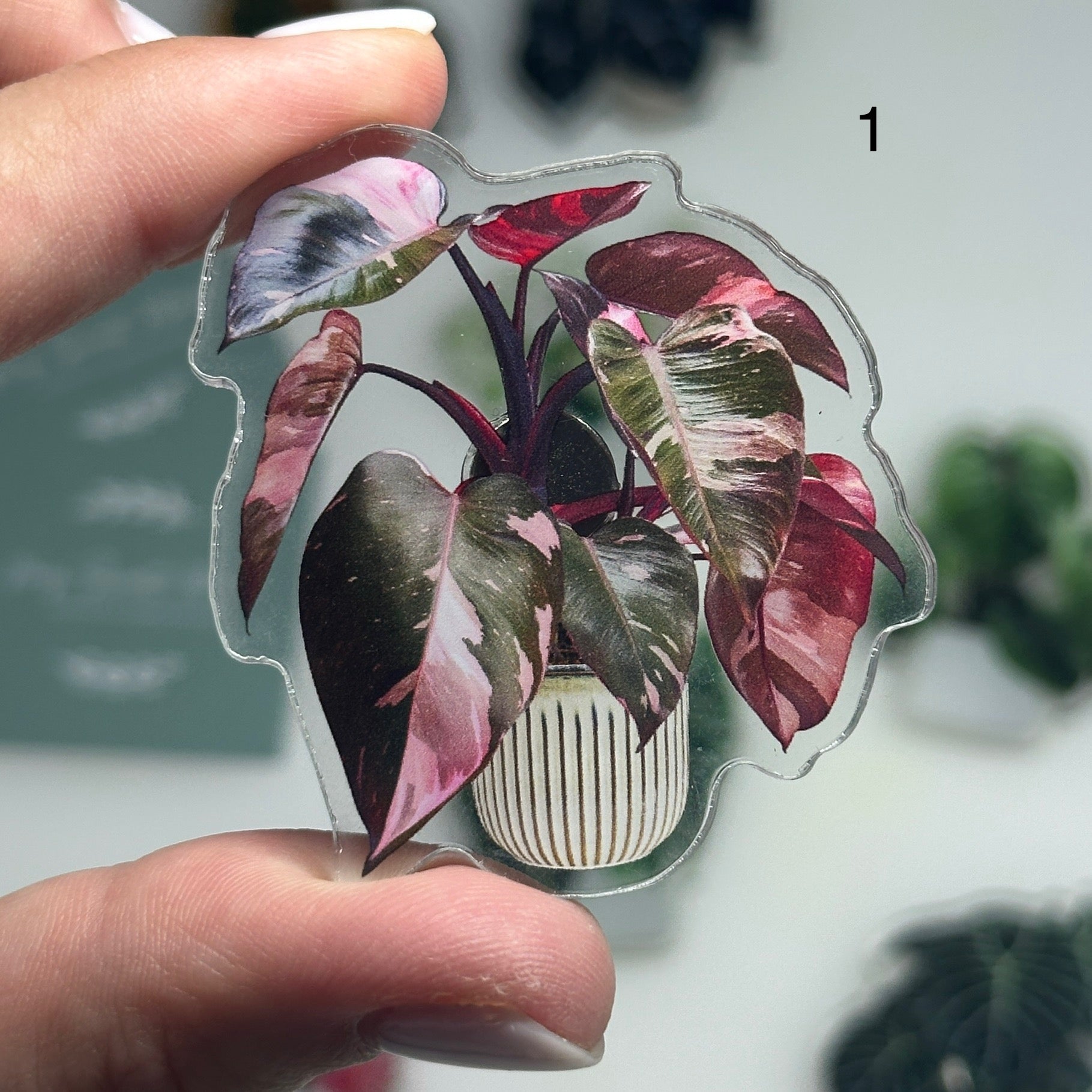 🌿 Aimants de réfrigérateur magnétiques – Design plantes tropicales