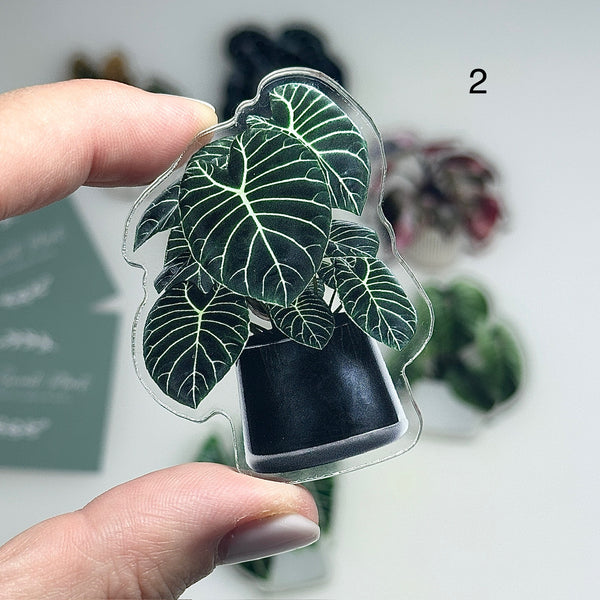 🌿 Aimants de réfrigérateur magnétiques – Design plantes tropicales