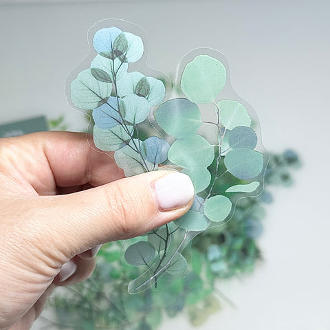 🌿 Lot de 40 autocollants Eucalyptus transparent