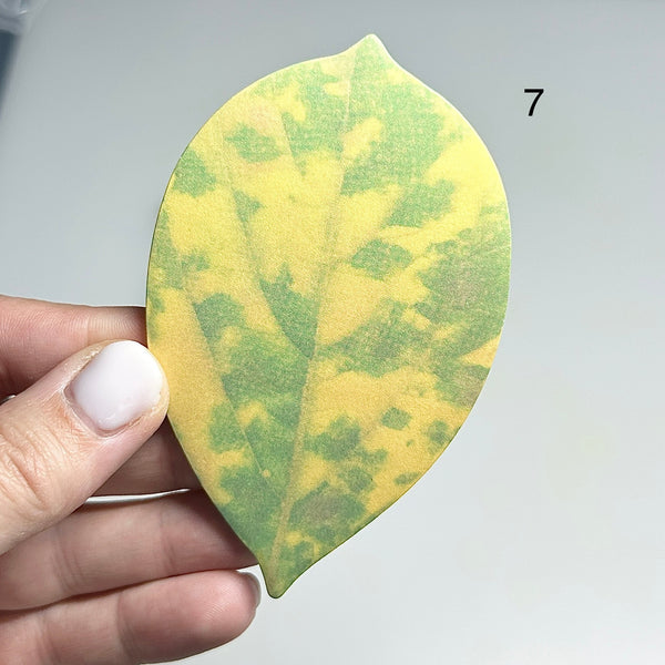 🍃 Bloc de 25 Feuilles de Notes Adhésives en Forme de Feuille