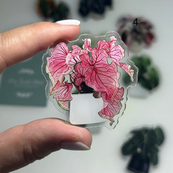 🌿 Aimants de réfrigérateur magnétiques – Design plantes tropicales