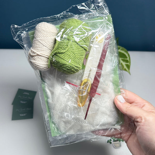 🪴 Kit de Plante Suspendue au Crochet pour Débutants