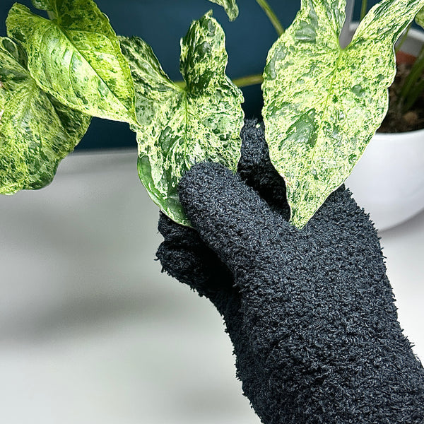 🌿 Gant de nettoyage en microfibre – Entretien facile et soin des plantes