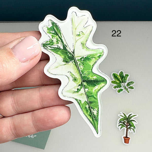 🌿 Aimants de réfrigérateur magnétiques – Design plantes tropicales