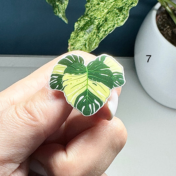 🌿 Pin’s Feuille  – Acier Inoxydable 🌿