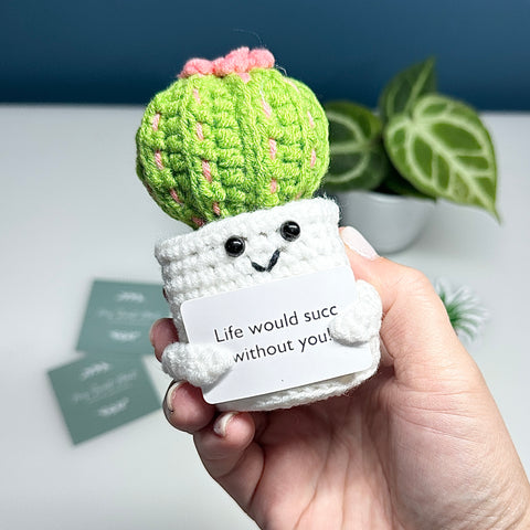 Plante au Crochet – Plusieurs modèles