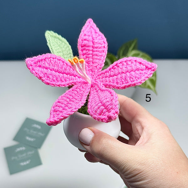 Plante au Crochet – Plusieurs modèles