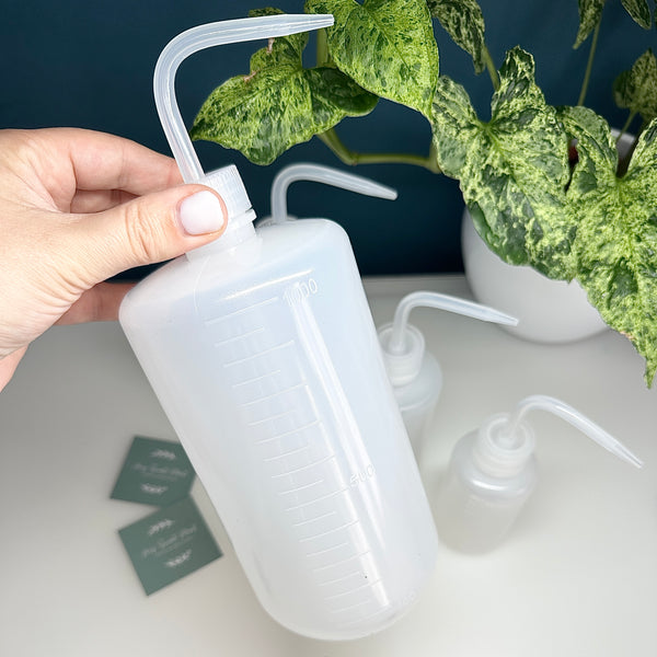 💧 Poire d'arrosage – Bouteille d’irrigation