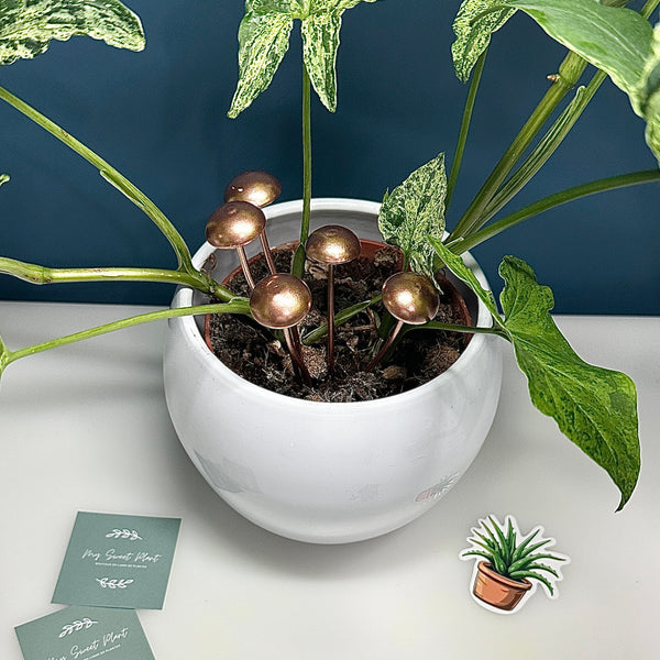 🍄 Lot de 5 Piquets de Champignon