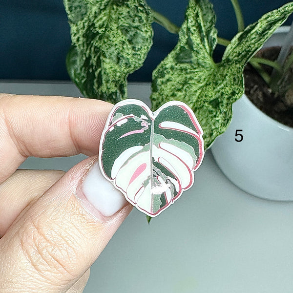 🌿 Pin’s Feuille  – Acier Inoxydable 🌿