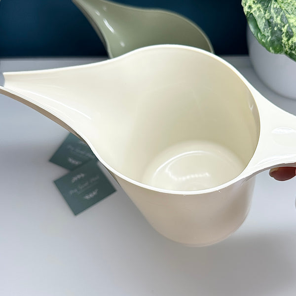 💧 Arrosoir à Bec Long – 20 x 12 cm 🌱