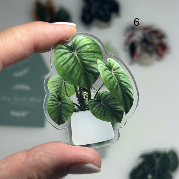 🌿 Aimants de réfrigérateur magnétiques – Design plantes tropicales