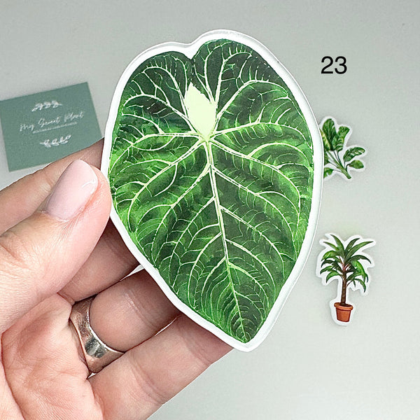 🌿 Aimants de réfrigérateur magnétiques – Design plantes tropicales