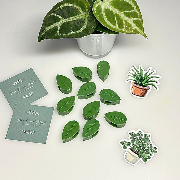 🌱 Fixateurs de Plantes Vertes – Feuilles Muraux Universels (Lot de 10)