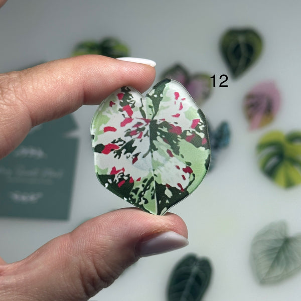 🌿 Aimants de réfrigérateur magnétiques – Design plantes tropicales