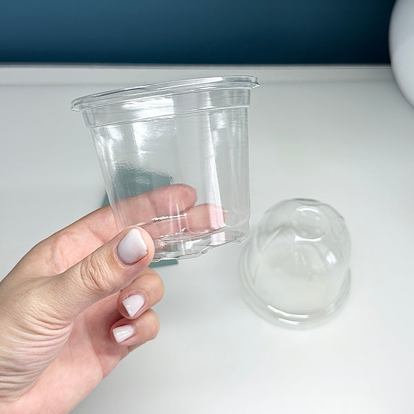 🌱 Pots de Pépinière Transparents avec Couvercle Respirant – Pots de Semis