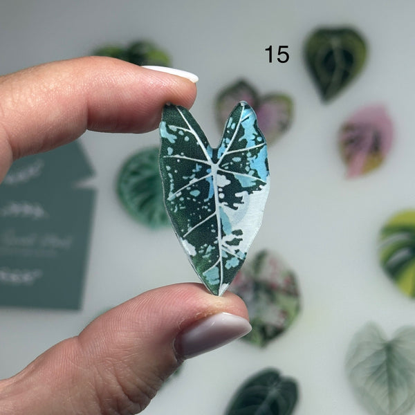 🌿 Aimants de réfrigérateur magnétiques – Design plantes tropicales