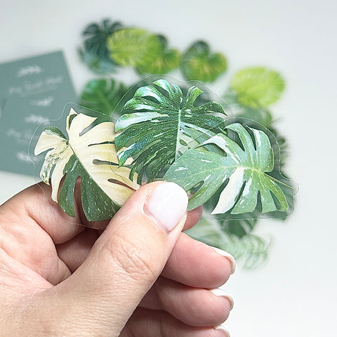 🍃 Lot de 40 Autocollants Monstera – Fond Transparent