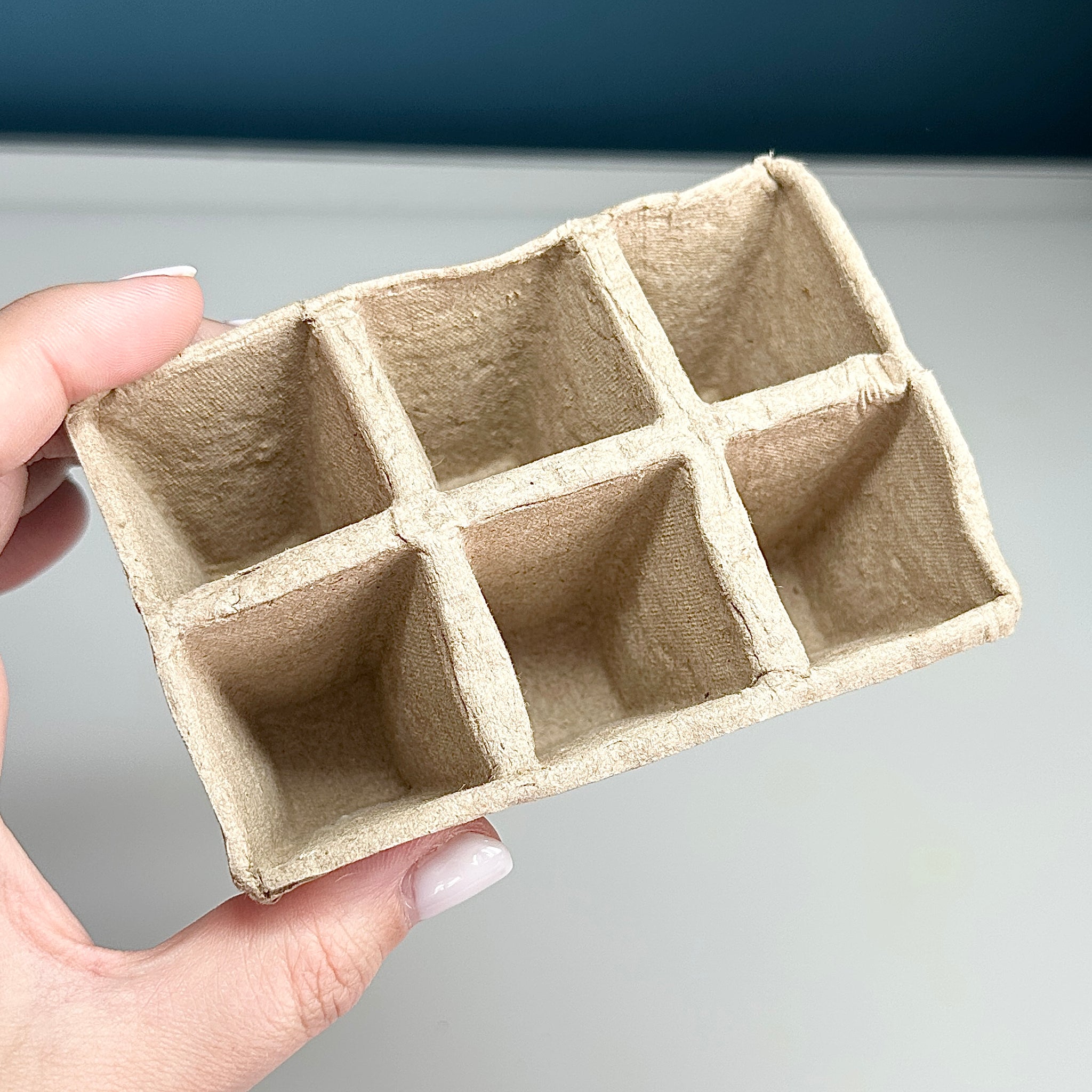 Pot de semi en tourbe biodégradable