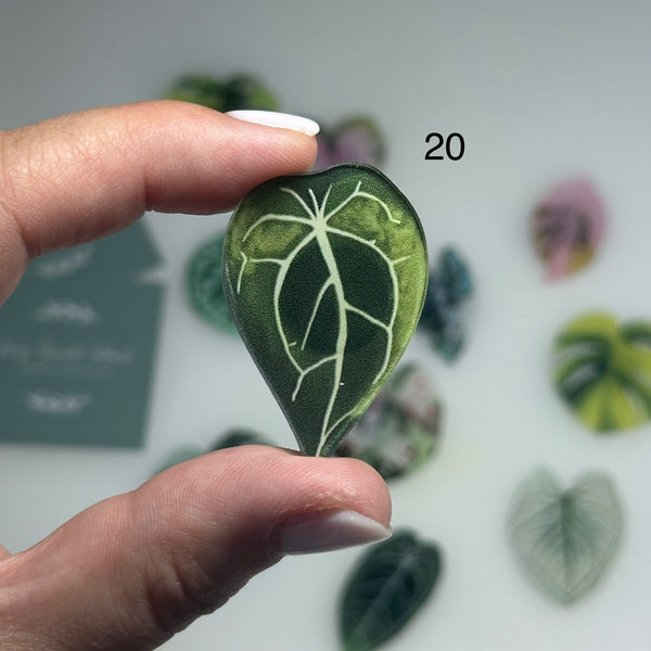 🌿 Aimants de réfrigérateur magnétiques – Design plantes tropicales