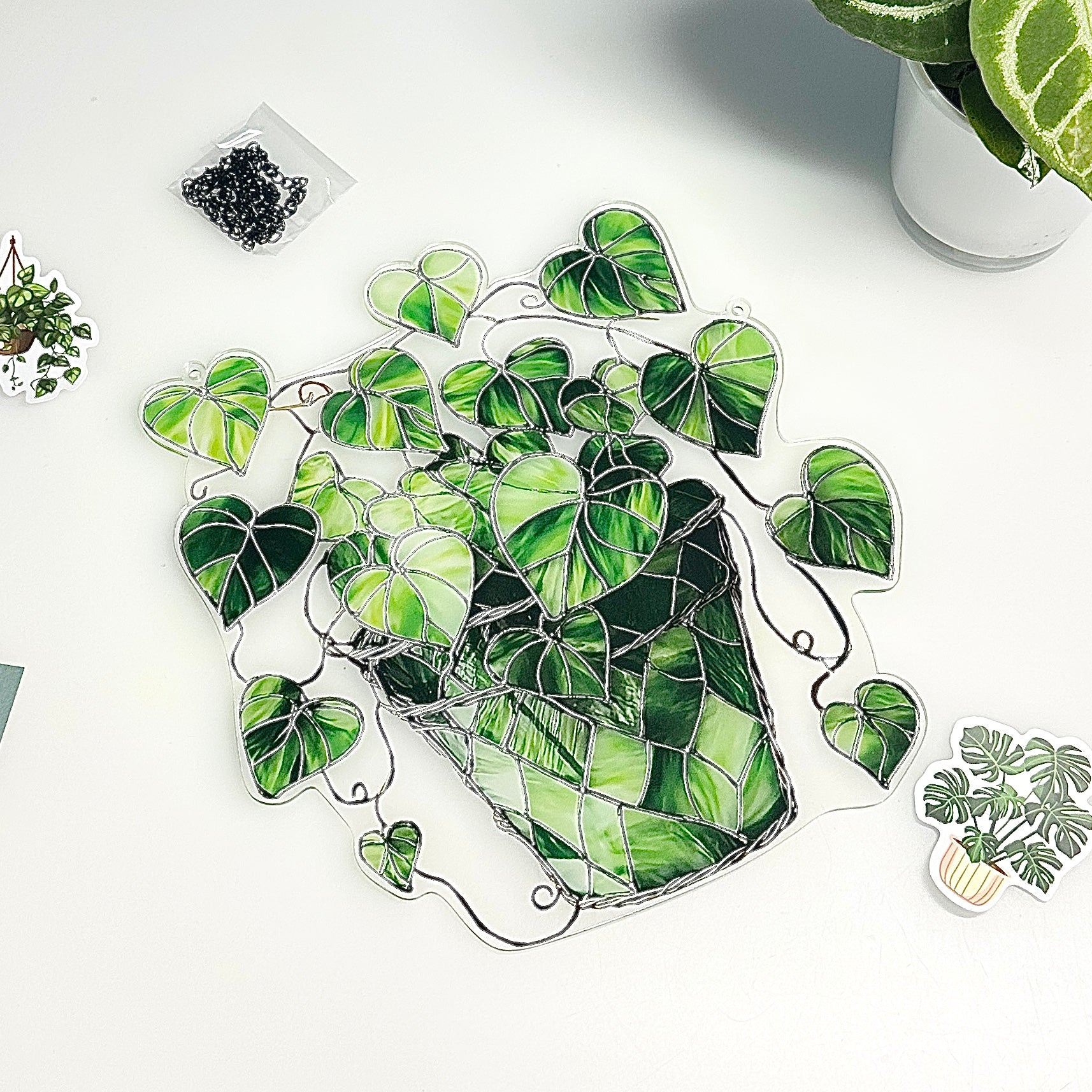 🌈 Attrape-soleil Pothos