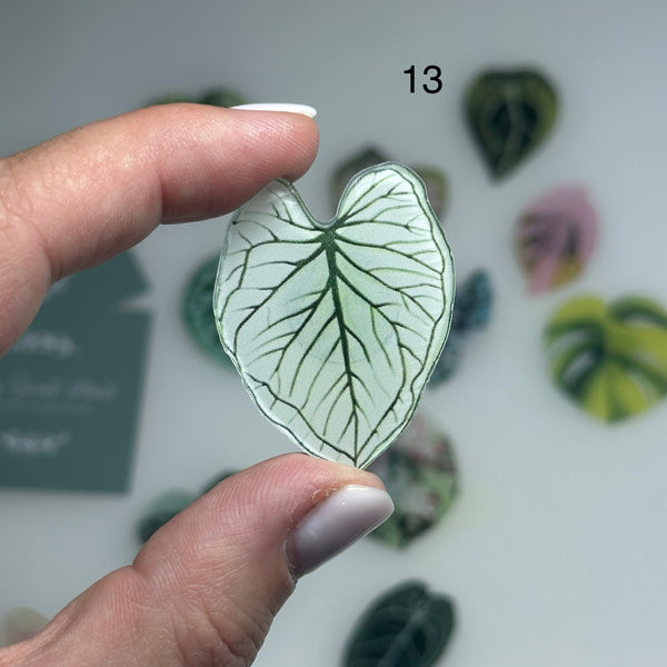 🌿 Aimants de réfrigérateur magnétiques – Design plantes tropicales