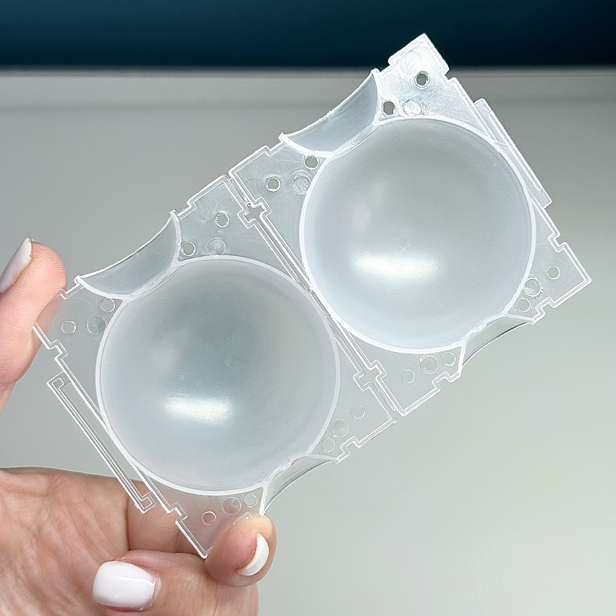 🌱 2 Boules de bouture de Plantes – Propagation Facile et Rapide 🌿