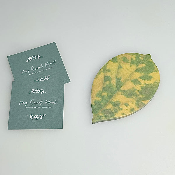 🍃 Bloc de 25 Feuilles de Notes Adhésives en Forme de Feuille