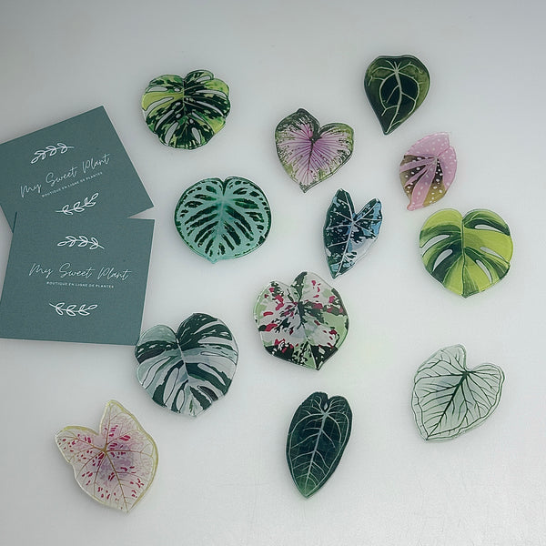 🌿 Aimants de réfrigérateur magnétiques – Design plantes tropicales