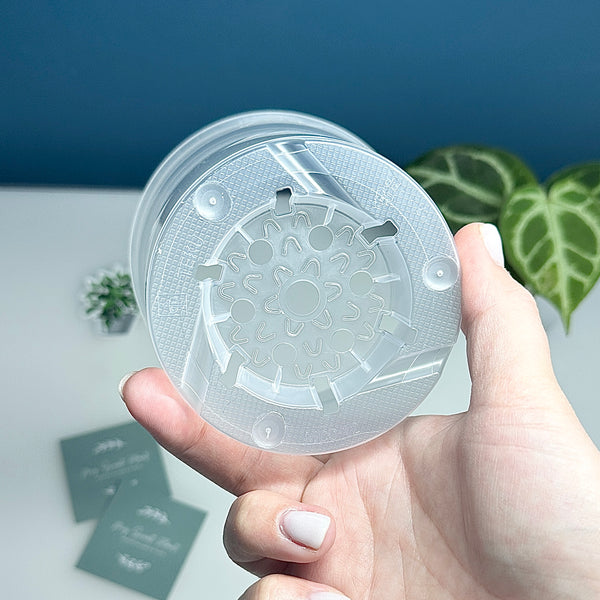 🌿 Pots Transparents pour Plantes – 6 cm / 9 cm / 12 cm