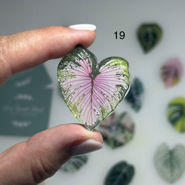 🌿 Aimants de réfrigérateur magnétiques – Design plantes tropicales