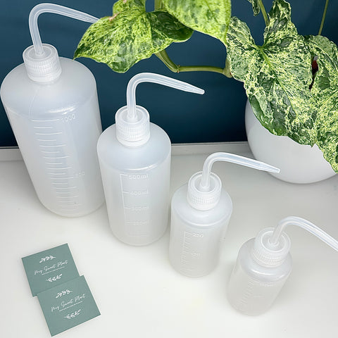 💧 Poire d'arrosage – Bouteille d’irrigation