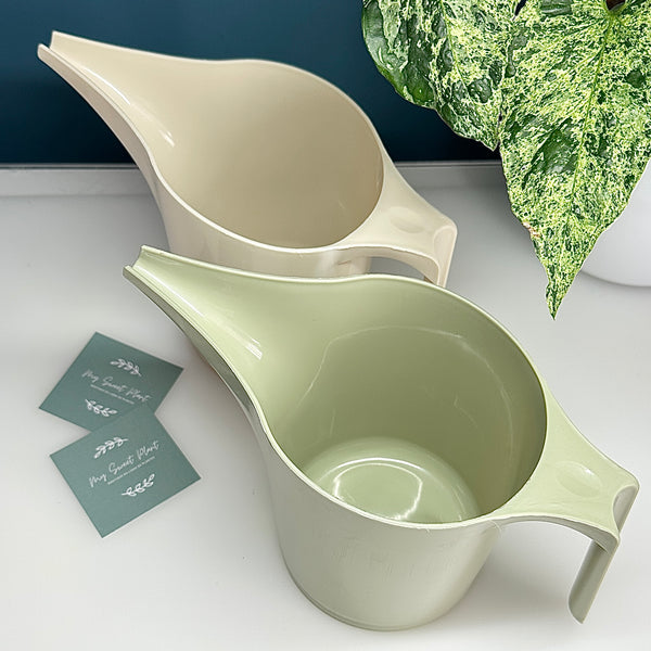 💧 Arrosoir à Bec Long – 20 x 12 cm 🌱