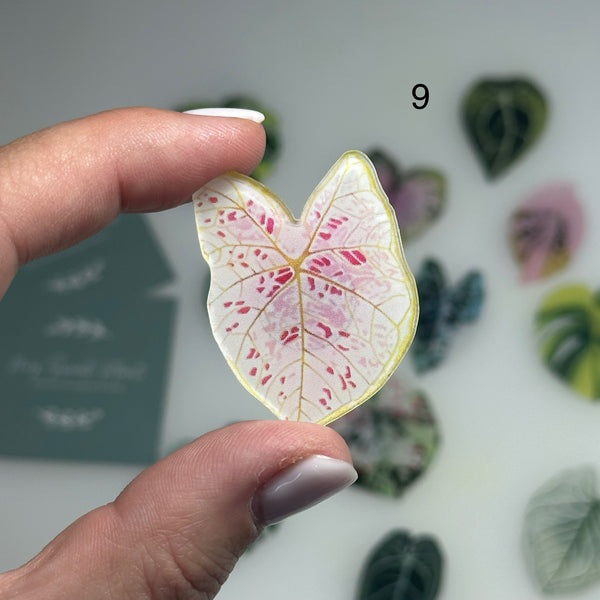 🌿 Aimants de réfrigérateur magnétiques – Design plantes tropicales