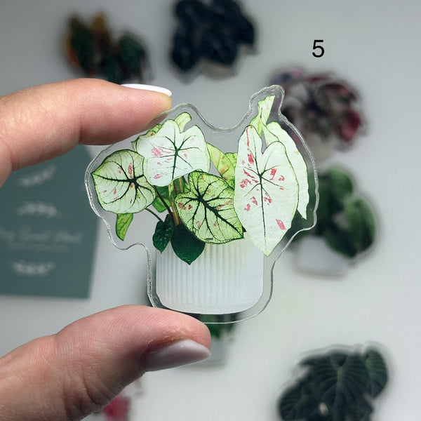 🌿 Aimants de réfrigérateur magnétiques – Design plantes tropicales