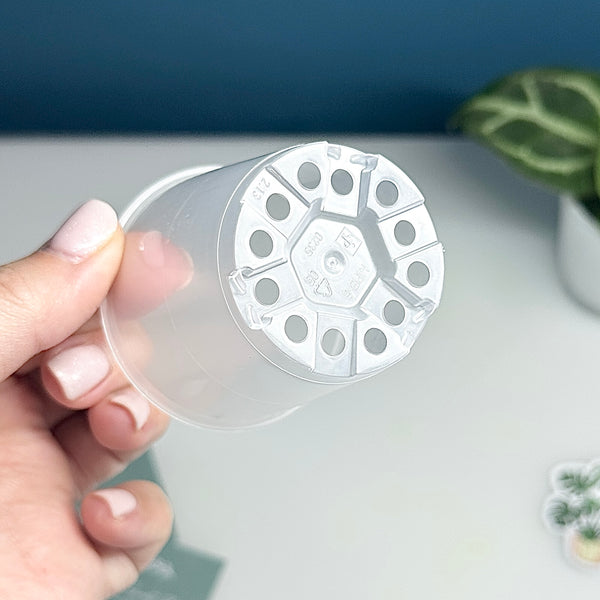 🌿 Pots Transparents pour Plantes – 6 cm / 9 cm / 12 cm